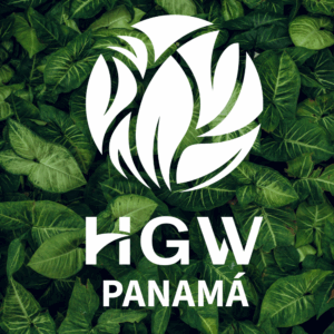 Paquete de inicio rapido Junior HGW